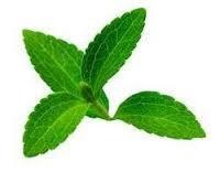 Stevia Leaves