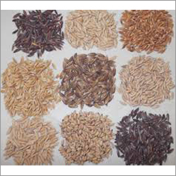 Brown Rice