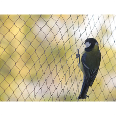 Bird Nets