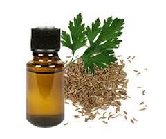 Davana Essential Oil