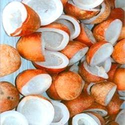 COCONUT COPRA