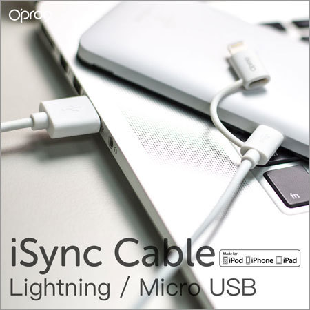 2in1 Lightning and Micro USB Cable (White