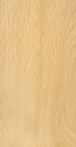 Steam Beach Wood