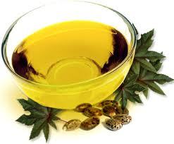 Amla Oil Ingredients: Herbal Extract