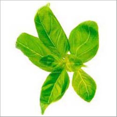 TEA LEAVES
