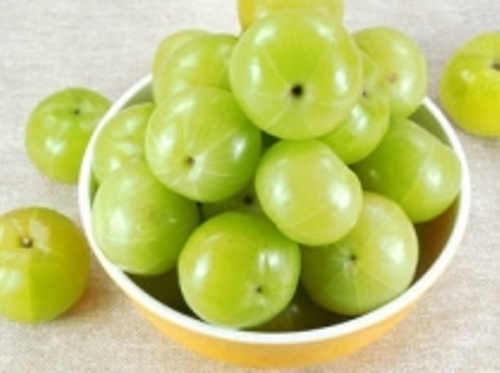 Herbal & Botanical Products