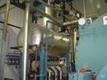 Steam Piping