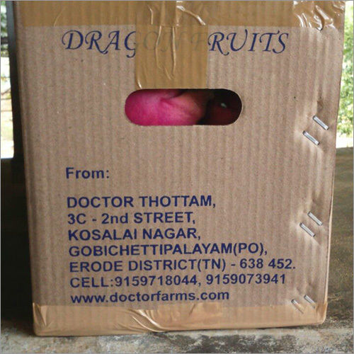 Organic Product Natural Red Dragon Fruit