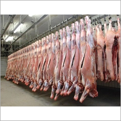 Meat Cold Storage Room
