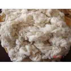 Cotton Dropping Waste