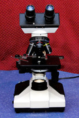 Microscope