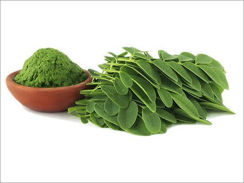 Moringa Leaf Powder