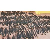 Raw Indian Human Hair
