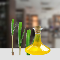Ginger Grass Oil - Fluid Liquid Pale Yellow to Light Brown Aroma | Warm Spicy Pungent Herbal Extract for Massage and Aromatherapy