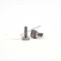Brass Square Head Screws