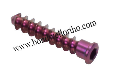 White Bone Screw  For Cervical Plate