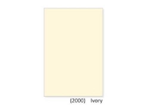 200 x 300 Ivory Wall Tiles