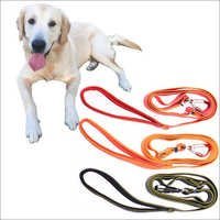 Dog Lead