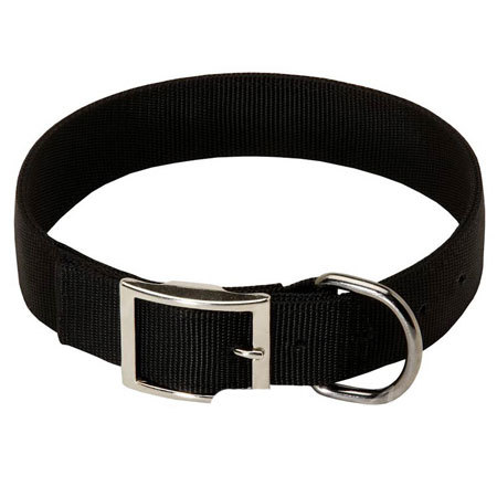 Dog Accessories