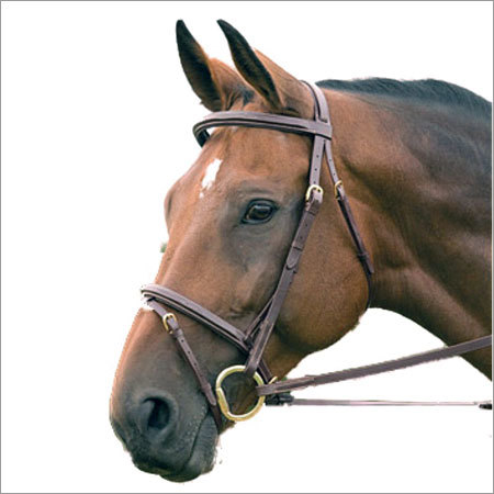 Horse Leather Bridle