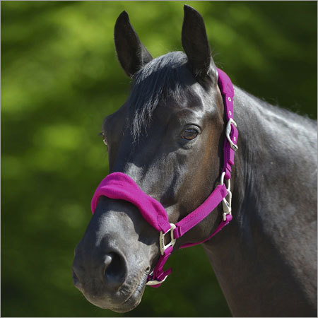 Horse Fleece Padded Halter