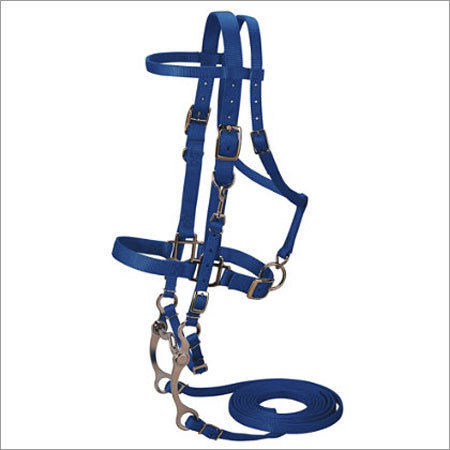 Horse Nylon Bridle