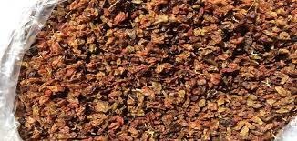 Brown Bird Feed Raisins