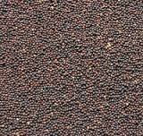 Brown Rape Seeds