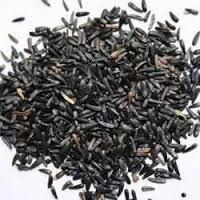 Niger Seeds
