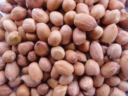 Ground Nut