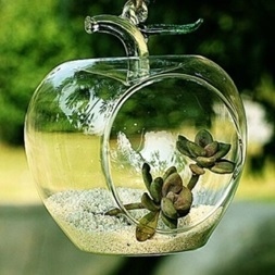 Glass and Planter