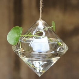 Glass Planter