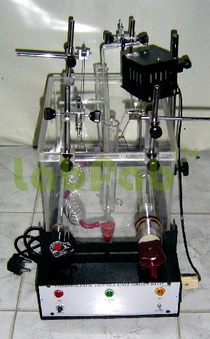 Double Unit Organ Bath