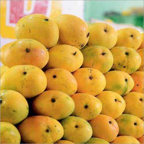 Badami Mangoes