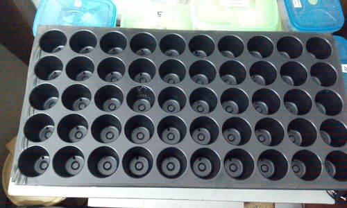 Plastic Seedling Tray