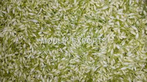 Mullai Flower
