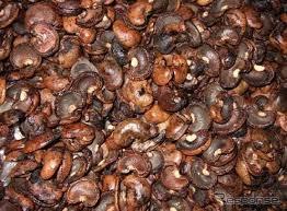 Cashew Nut Shell Residue