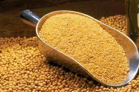 TOP Soybean Meal
