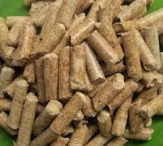 Corn Silage Pellets