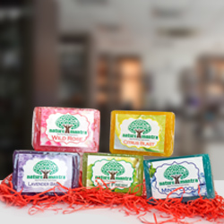 Soap Fragrance Ingredients: Natural Extract And Essential Oils