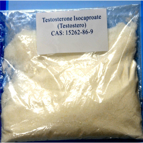 Testosterone Isocaproate