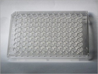 96 Well Plate