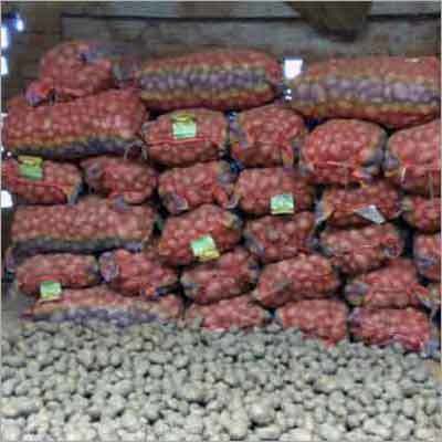 Fresh Indian Potatoes