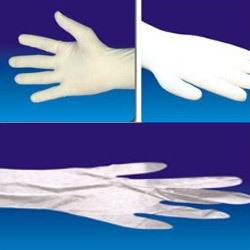 Latex Surgical Gloves