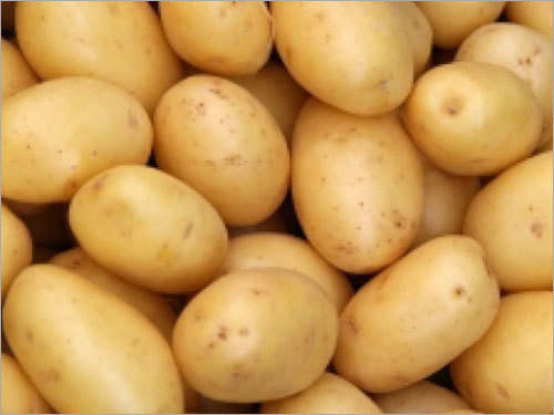 Fresh Potato