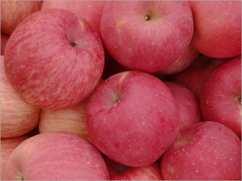 Fuji Fresh Apple