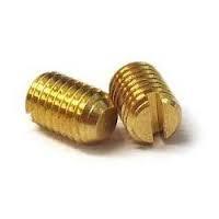 Grub Brass Screw