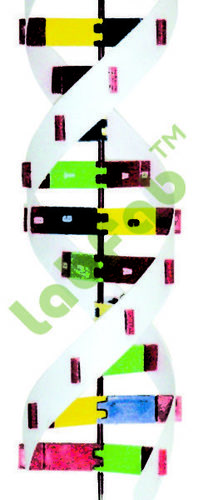 ANATOMICAL AND NURSING MODELS