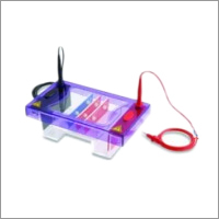 Electrophoresis Chambers