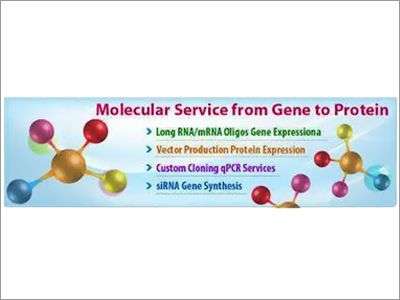 Molecular Biology Services